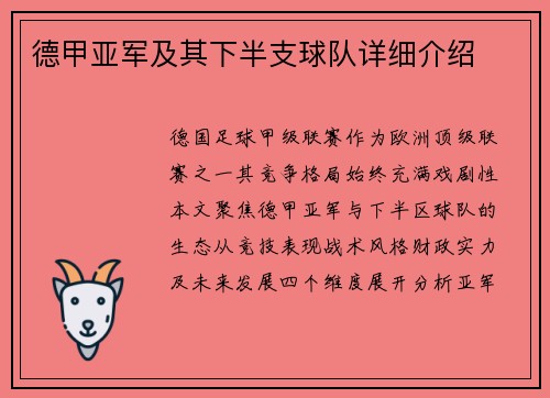 德甲亚军及其下半支球队详细介绍
