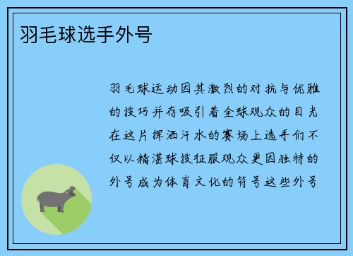 羽毛球选手外号